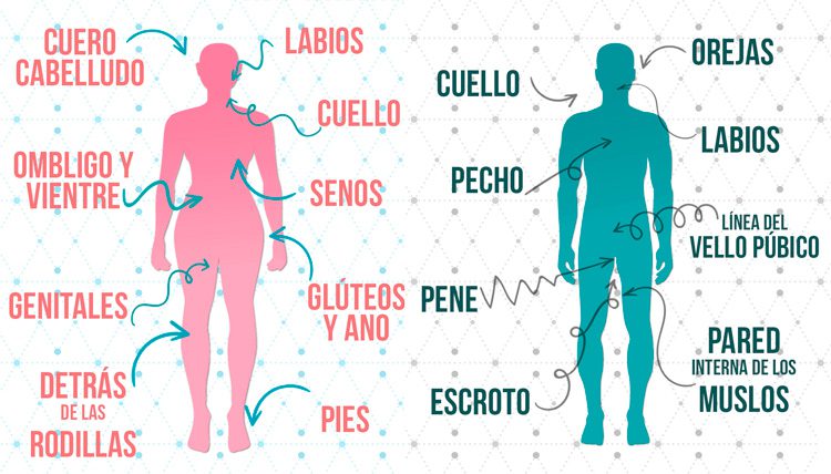 Zonas erógenas – ¿Cuales son en los hombres y mujeres? post thumbnail image